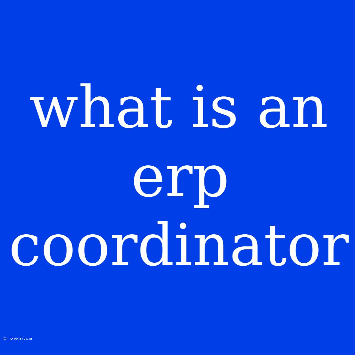 What Is An Erp Coordinator