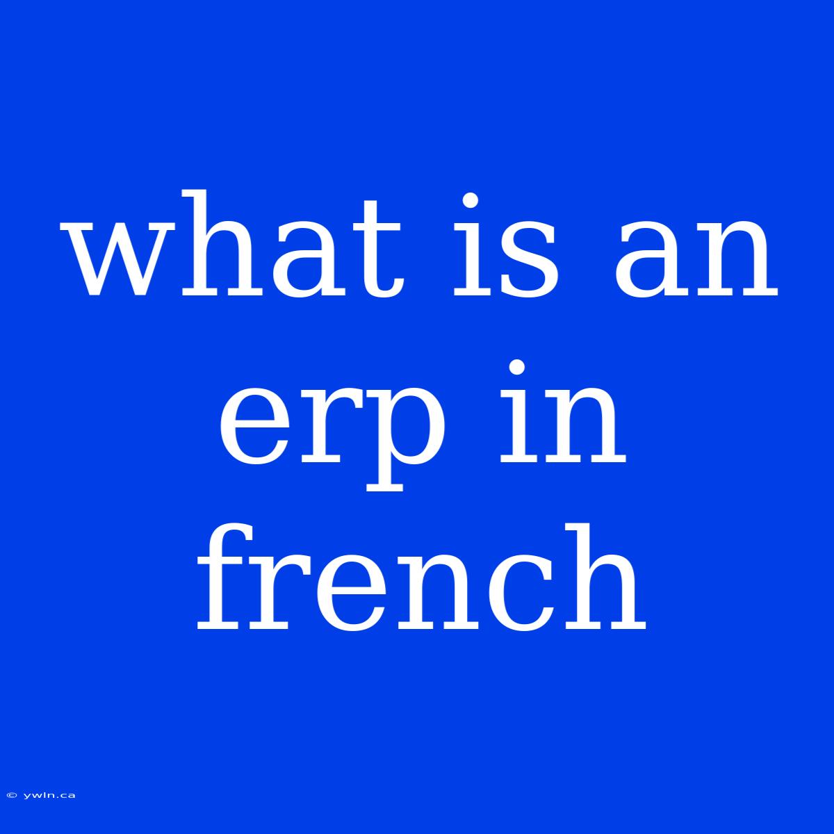 What Is An Erp In French