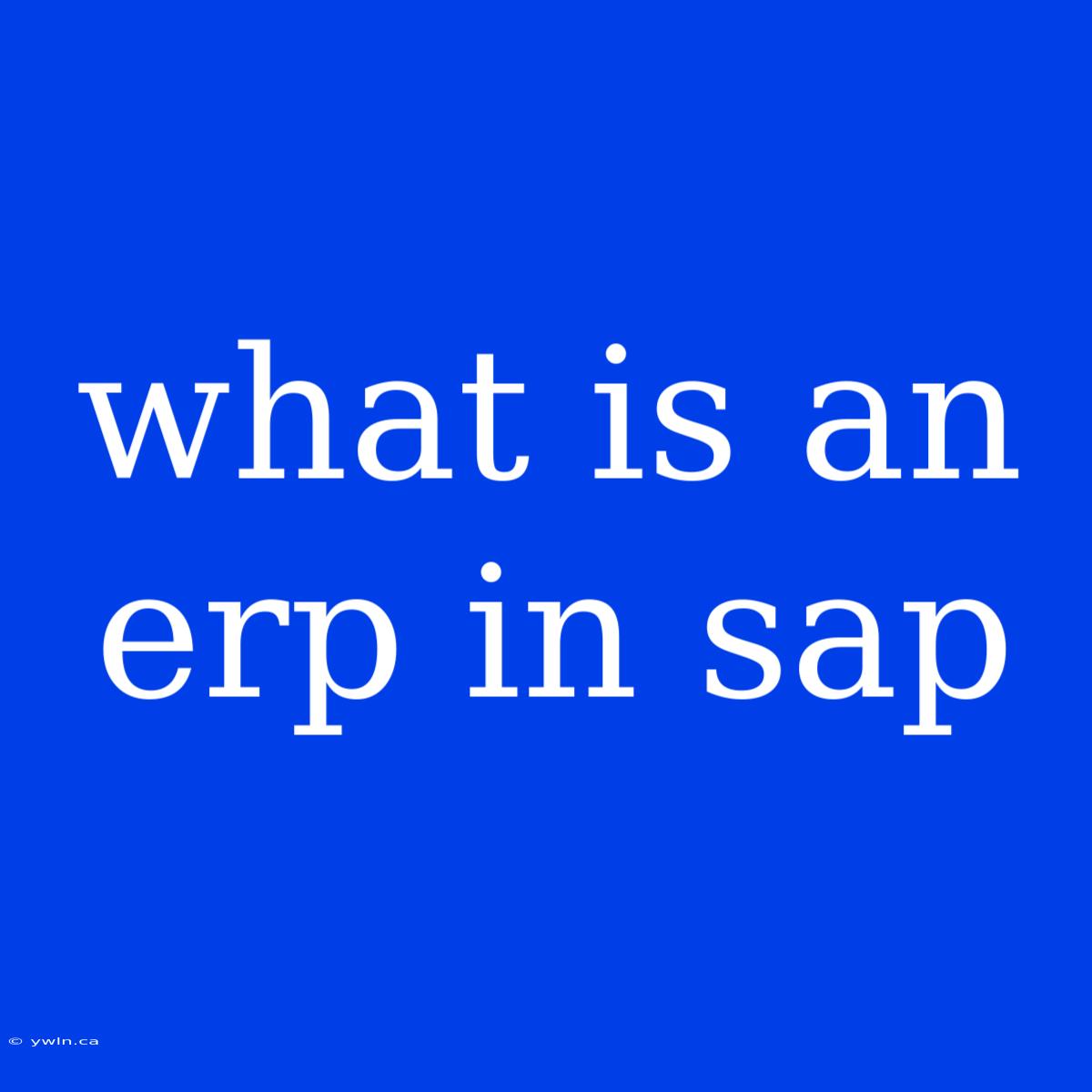 What Is An Erp In Sap