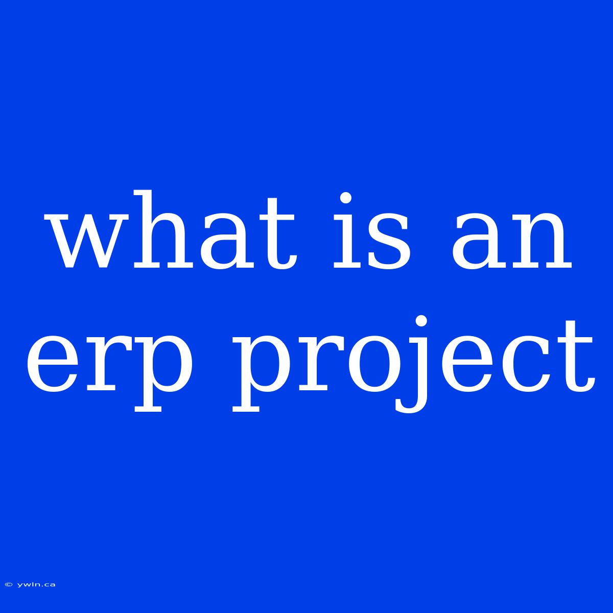 What Is An Erp Project