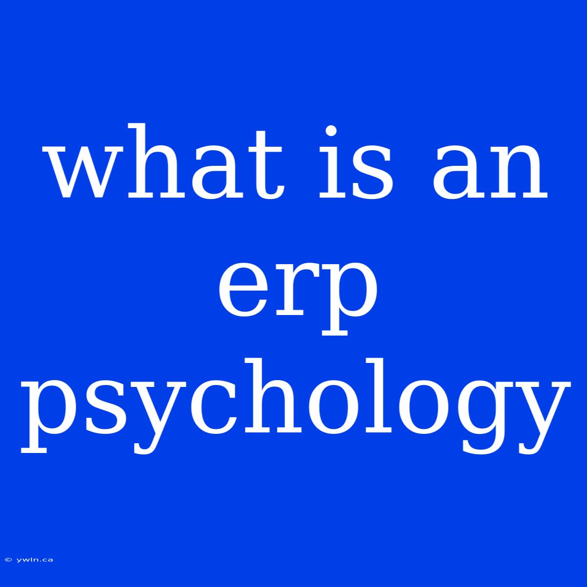 What Is An Erp Psychology