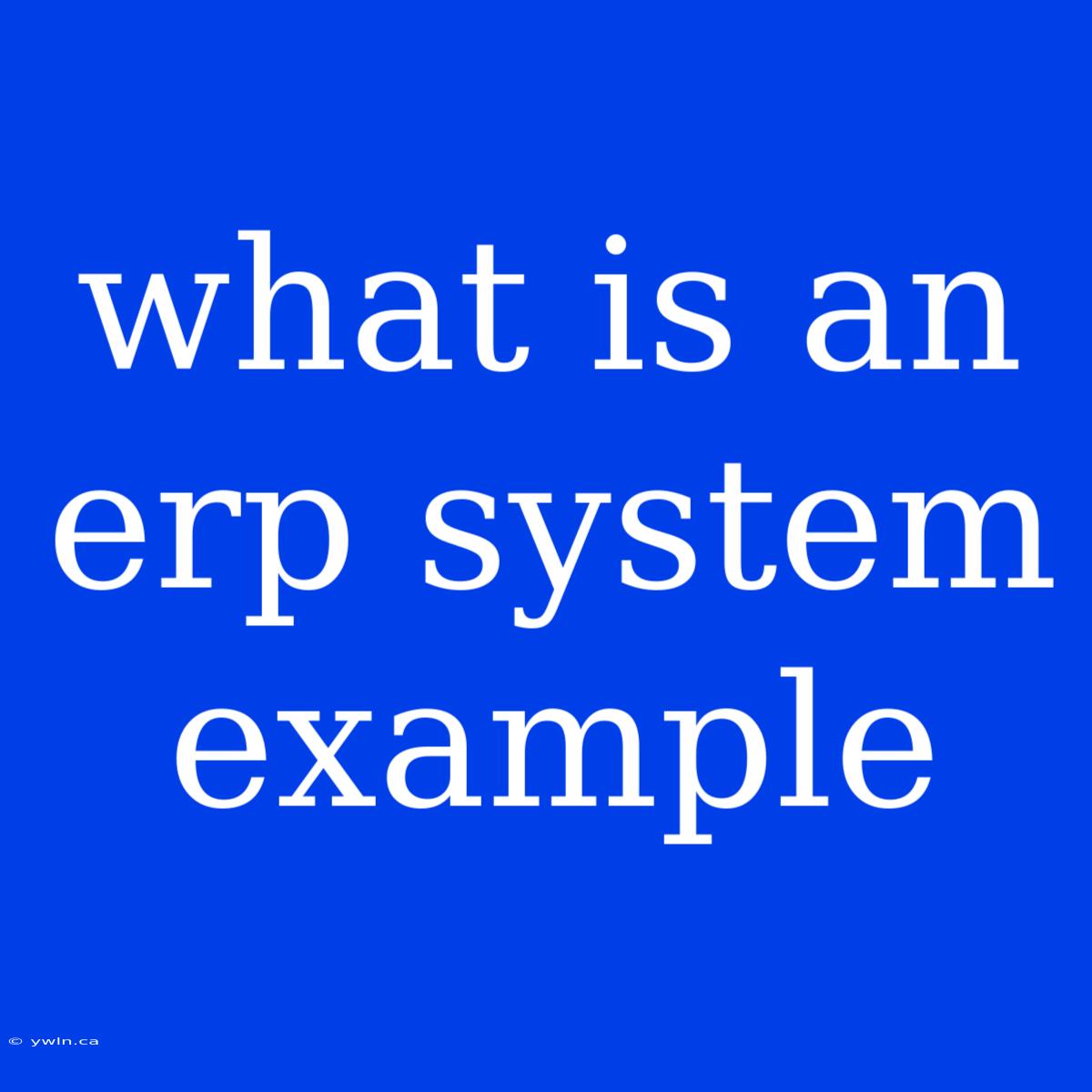 What Is An Erp System Example