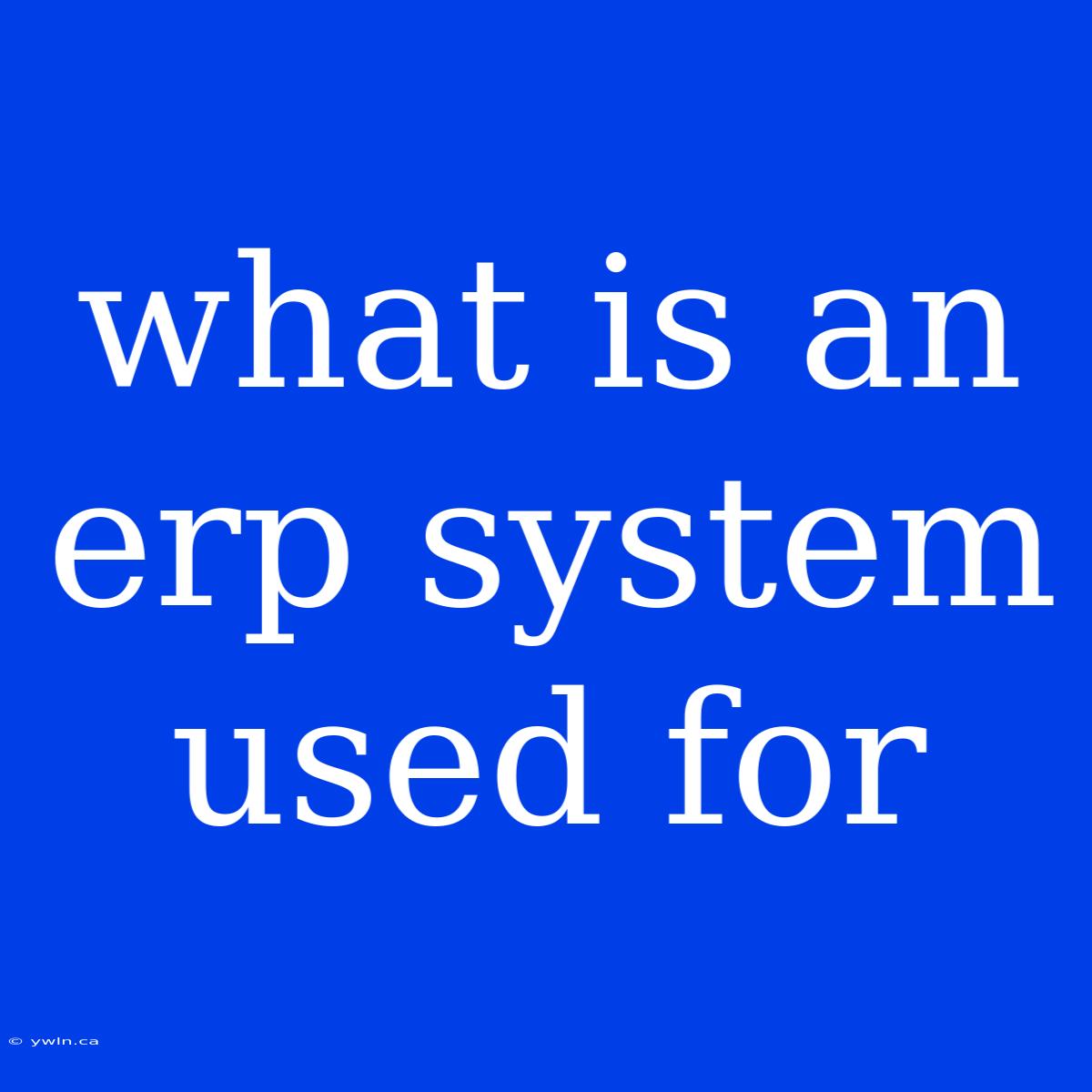 What Is An Erp System Used For