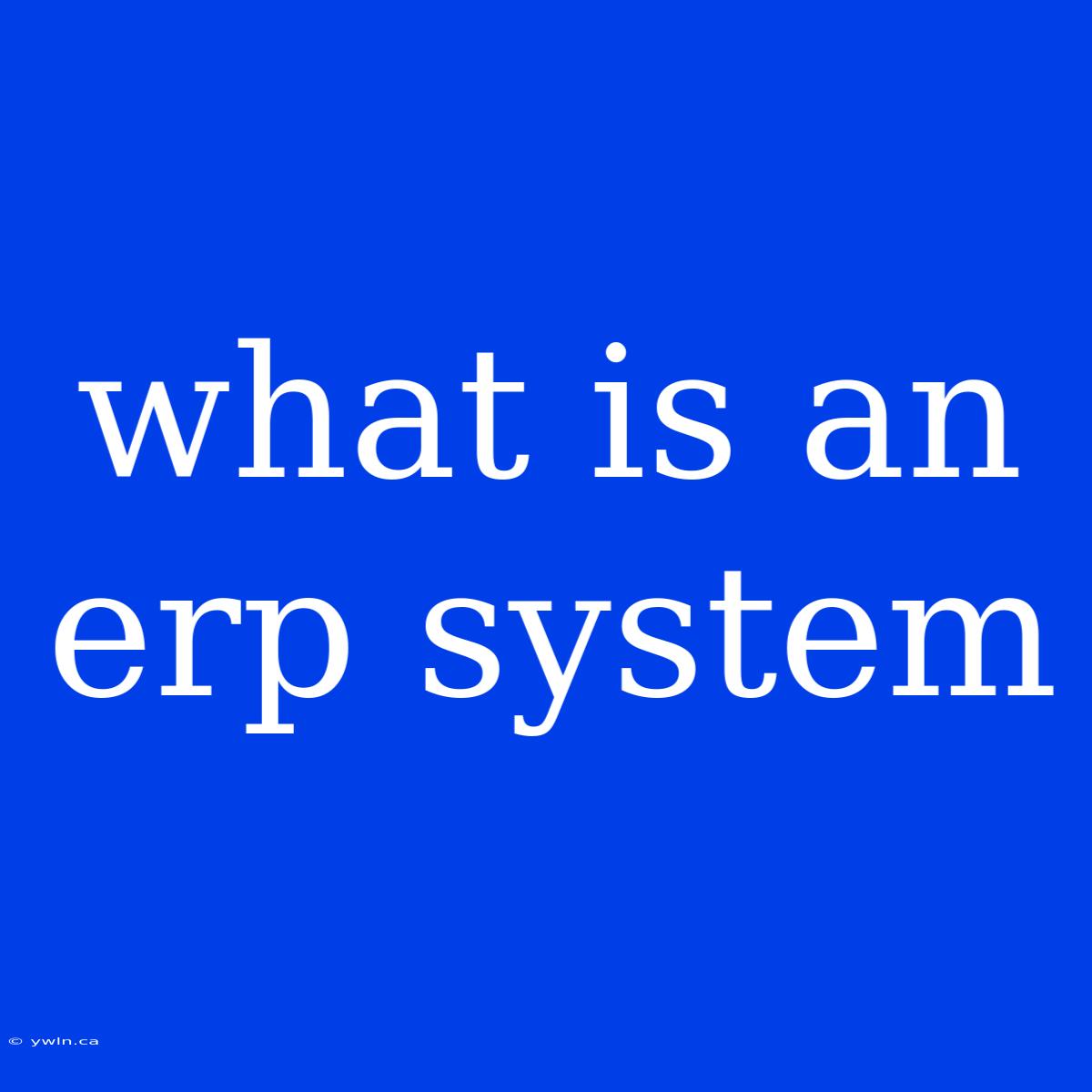 What Is An Erp System