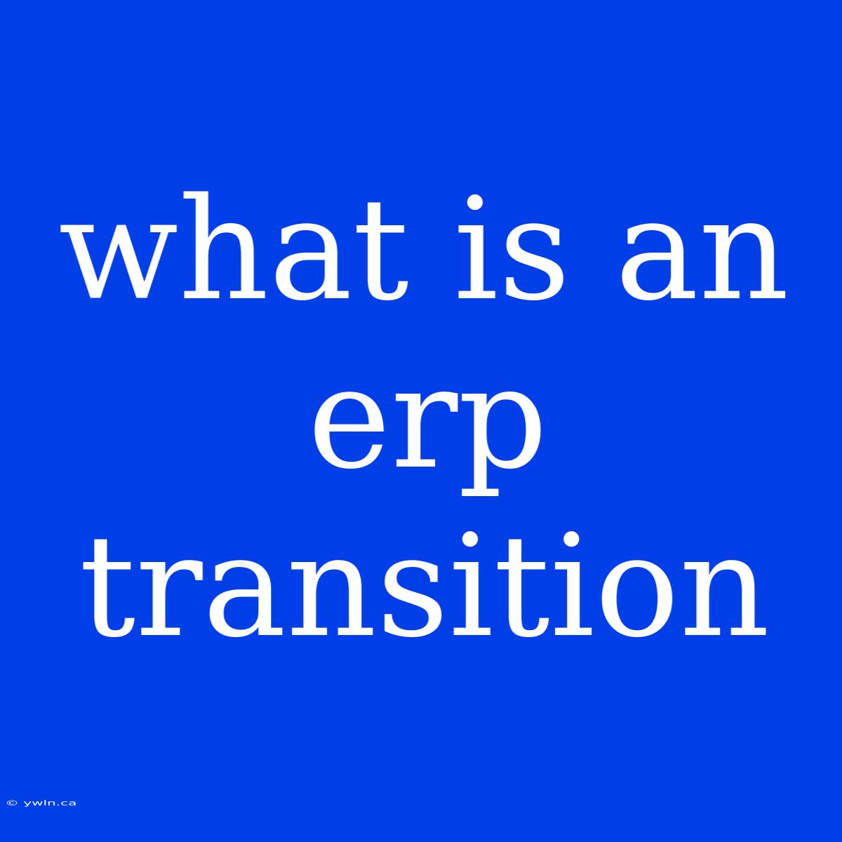 What Is An Erp Transition