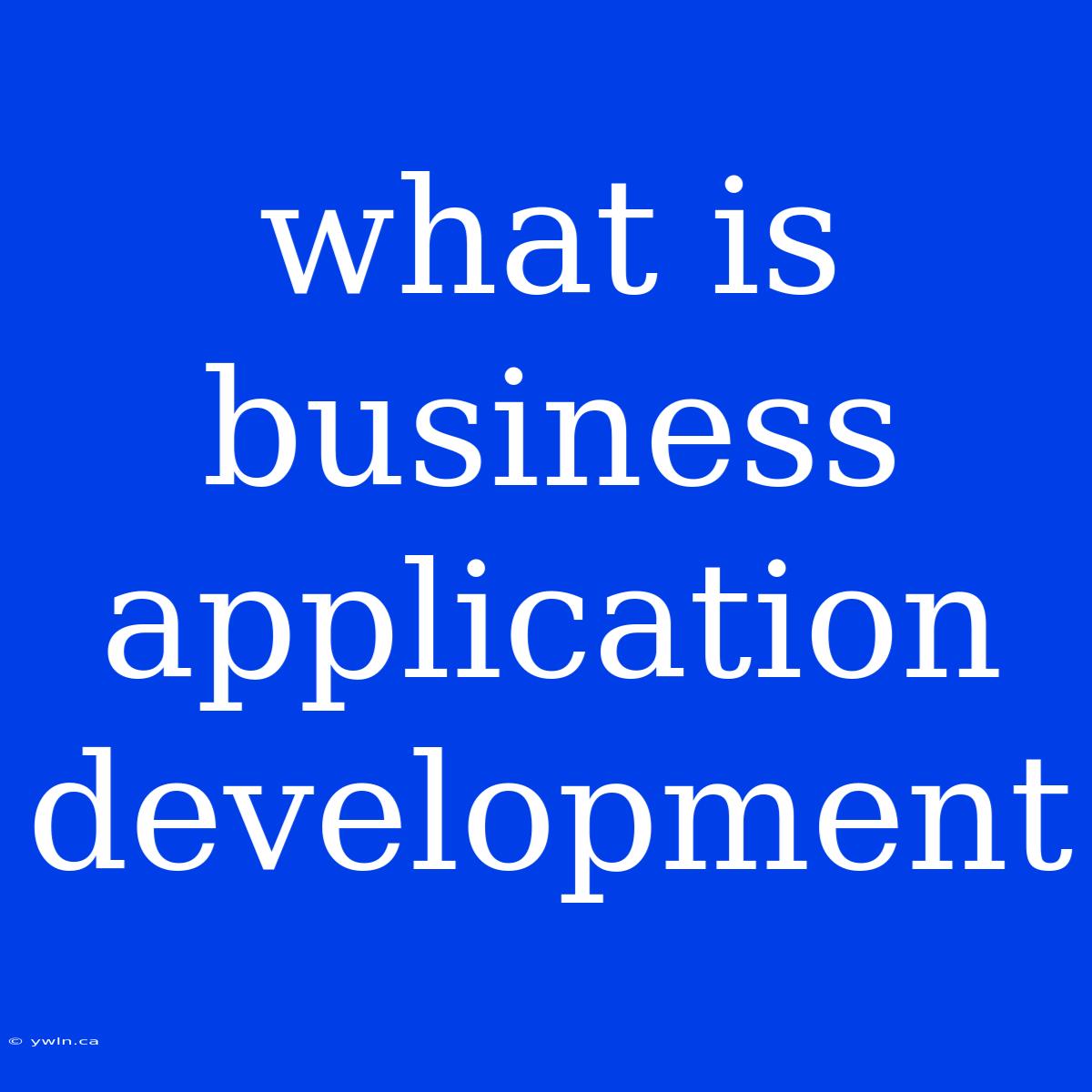 What Is Business Application Development