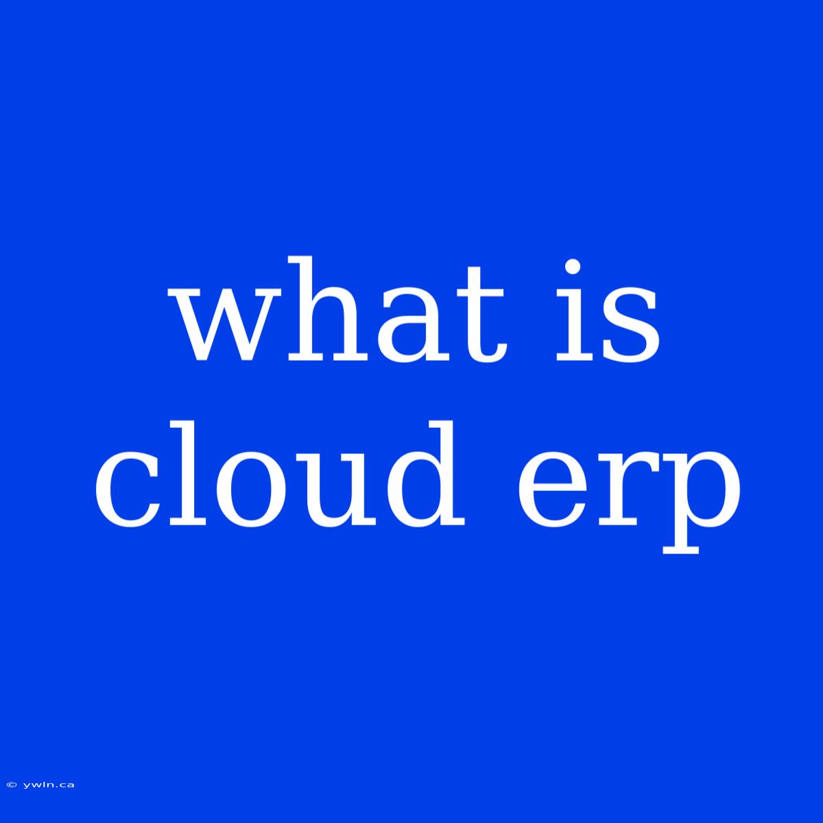 What Is Cloud Erp