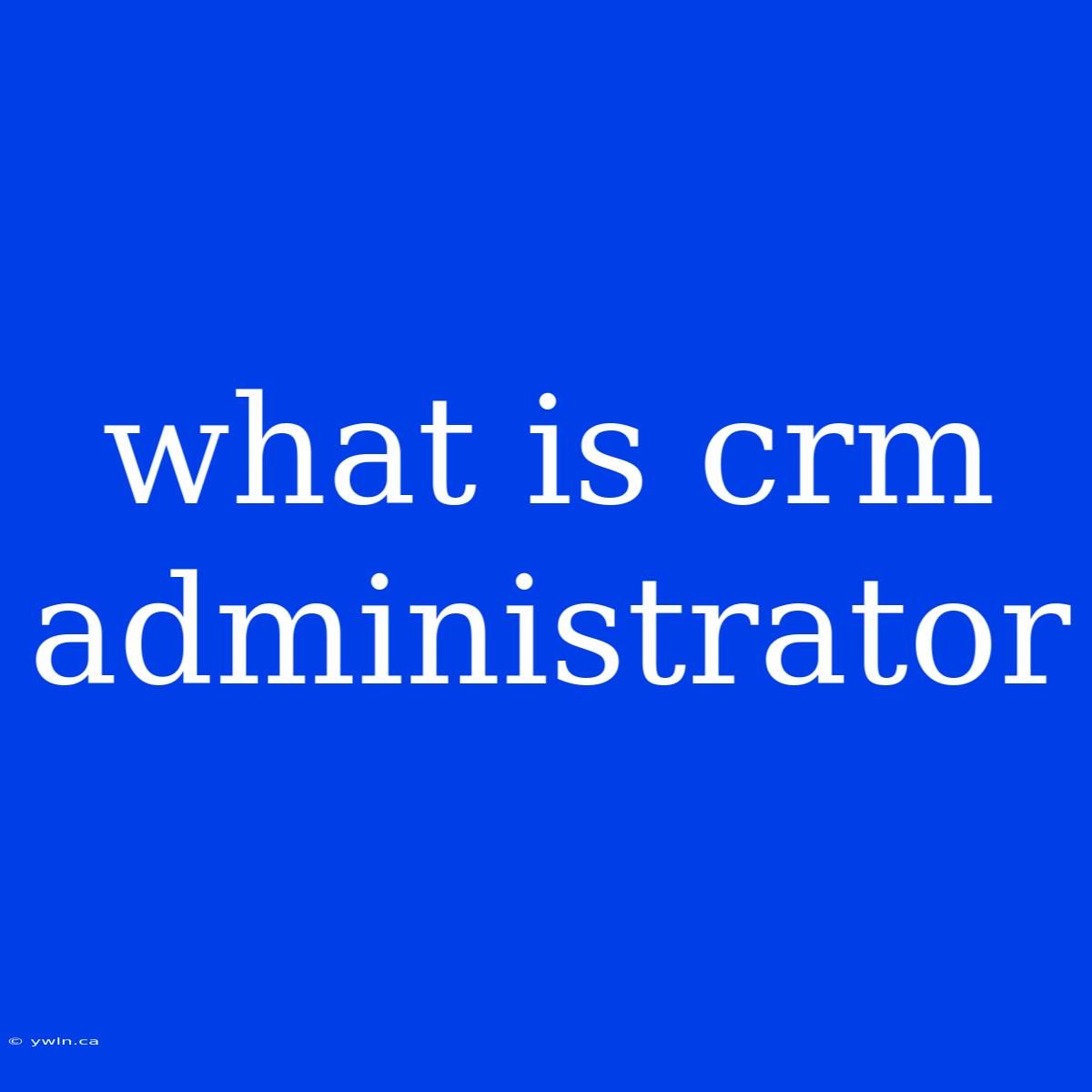 What Is Crm Administrator