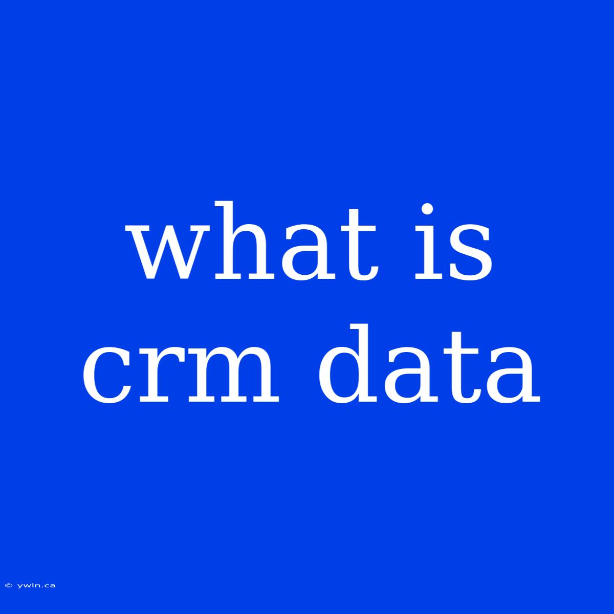 What Is Crm Data