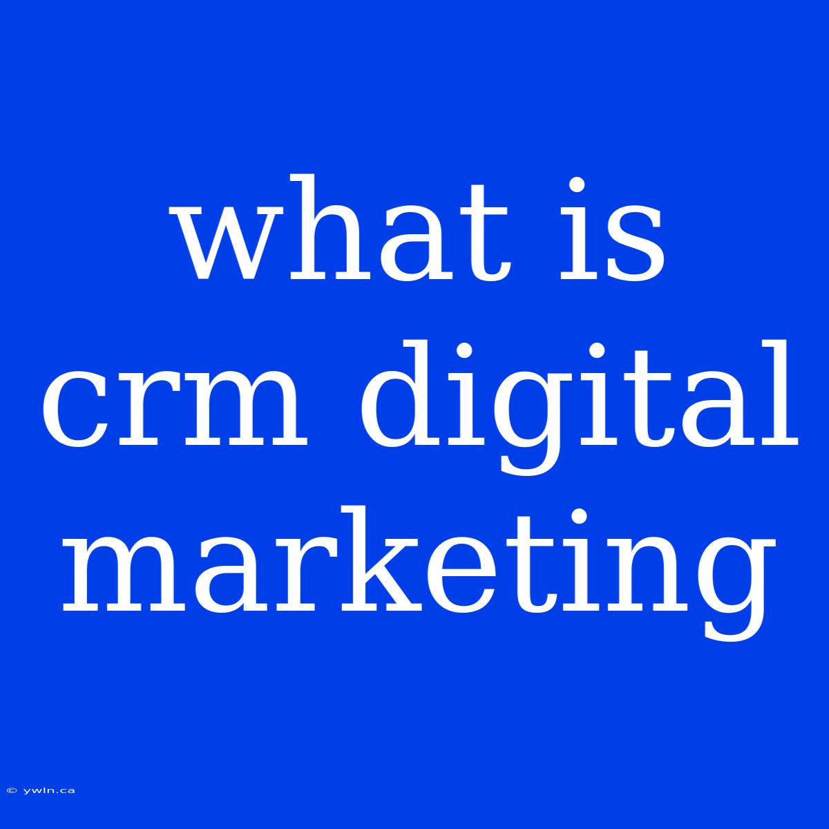 What Is Crm Digital Marketing