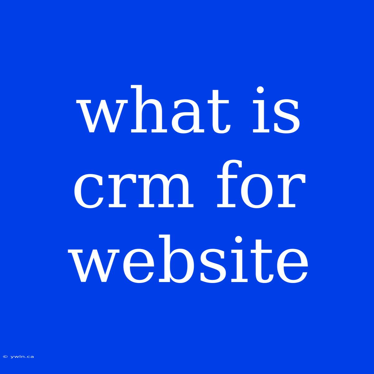 What Is Crm For Website