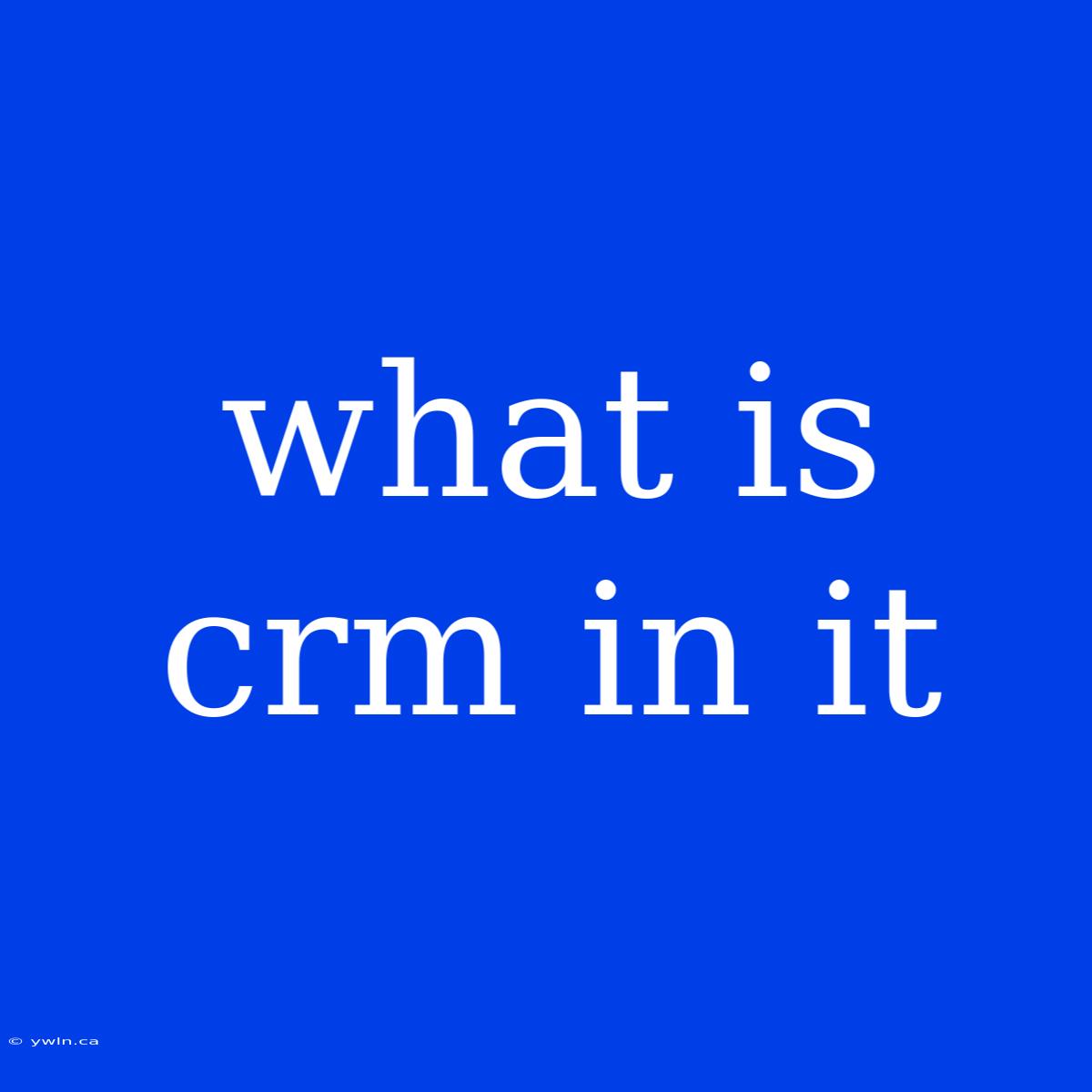 What Is Crm In It