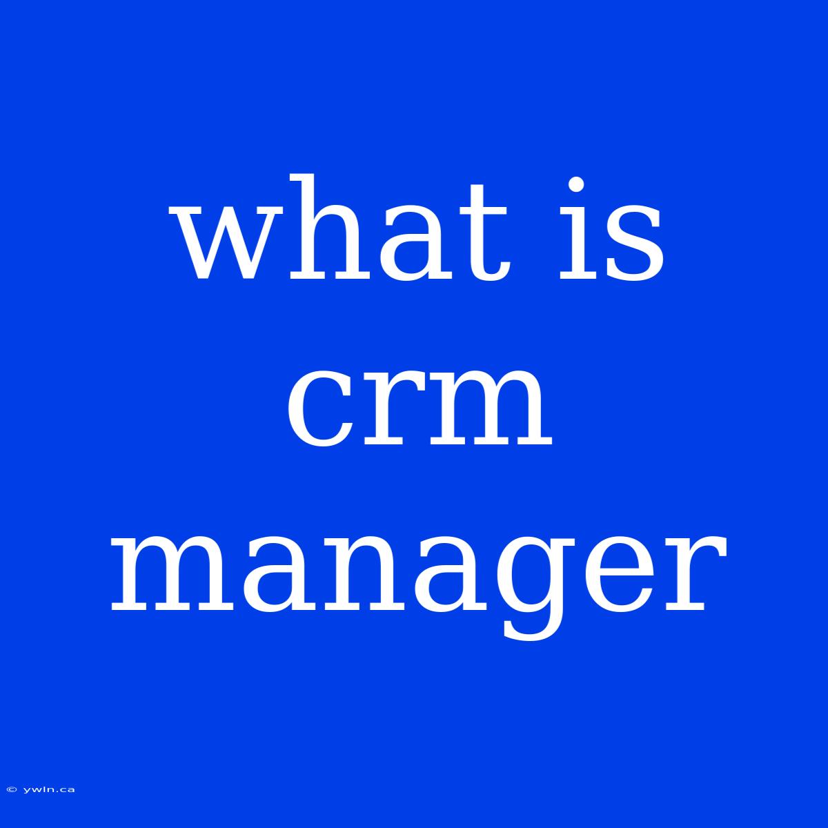 What Is Crm Manager