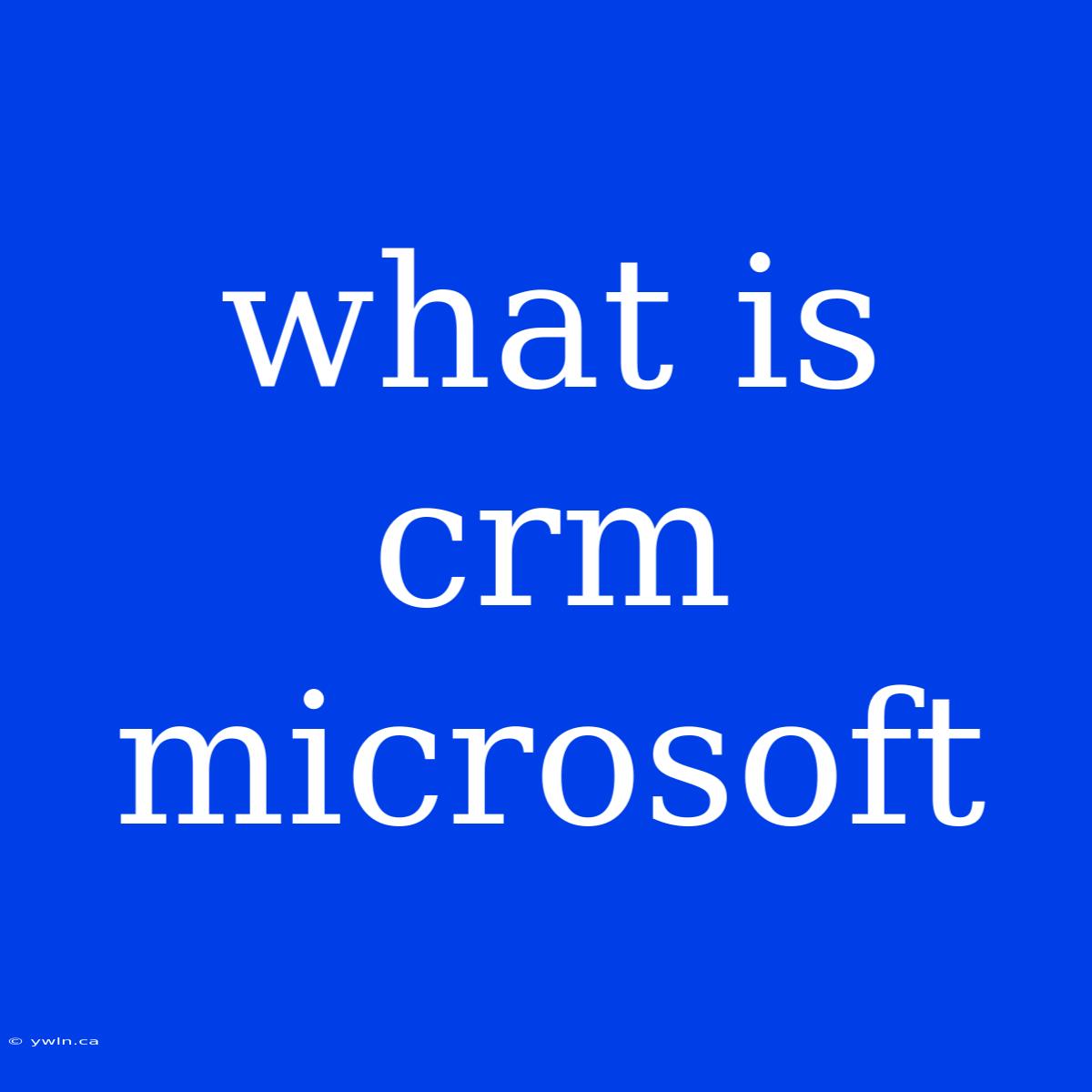 What Is Crm Microsoft