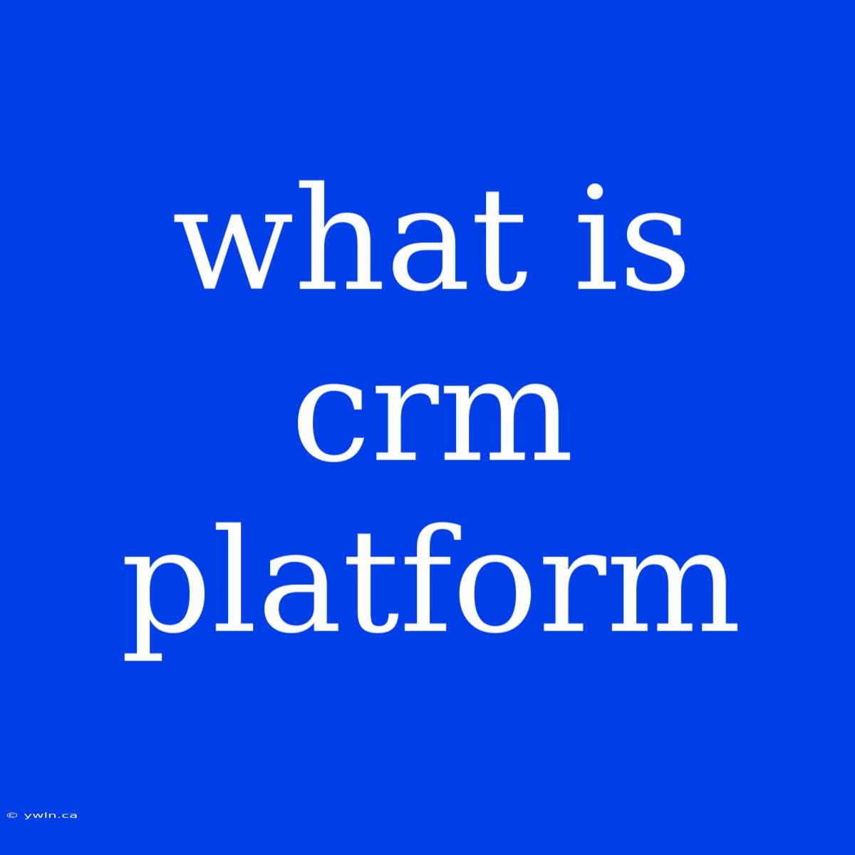 What Is Crm Platform