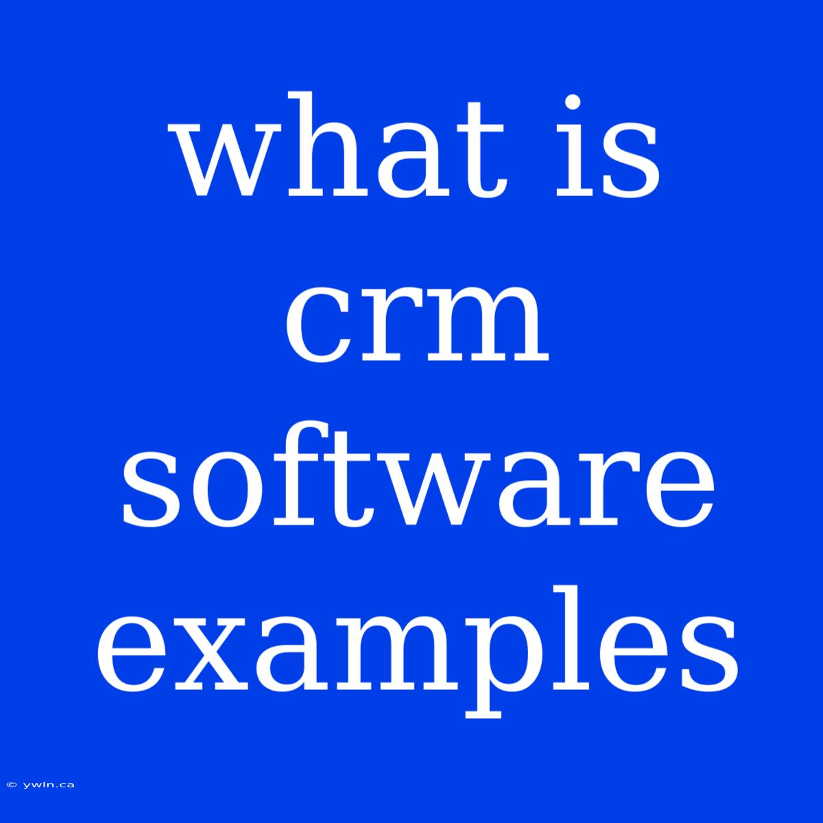 What Is Crm Software Examples