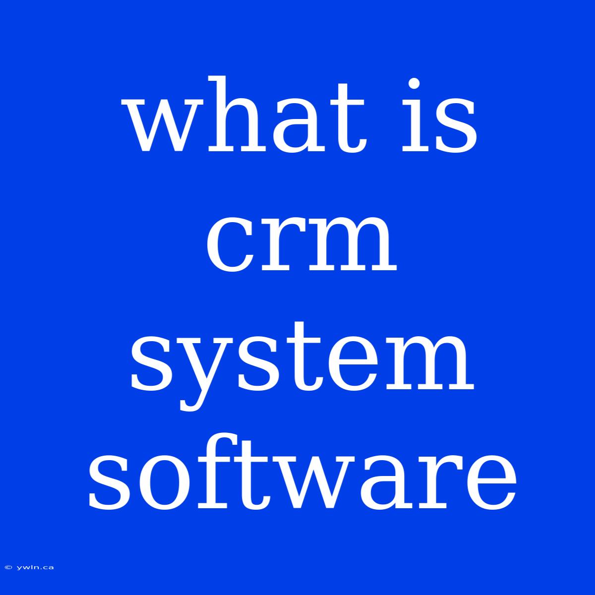 What Is Crm System Software