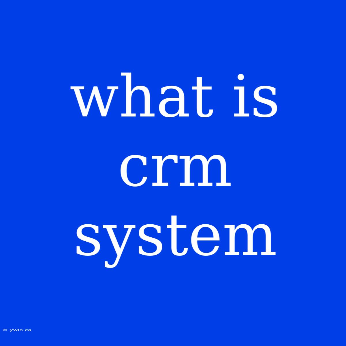 What Is Crm System