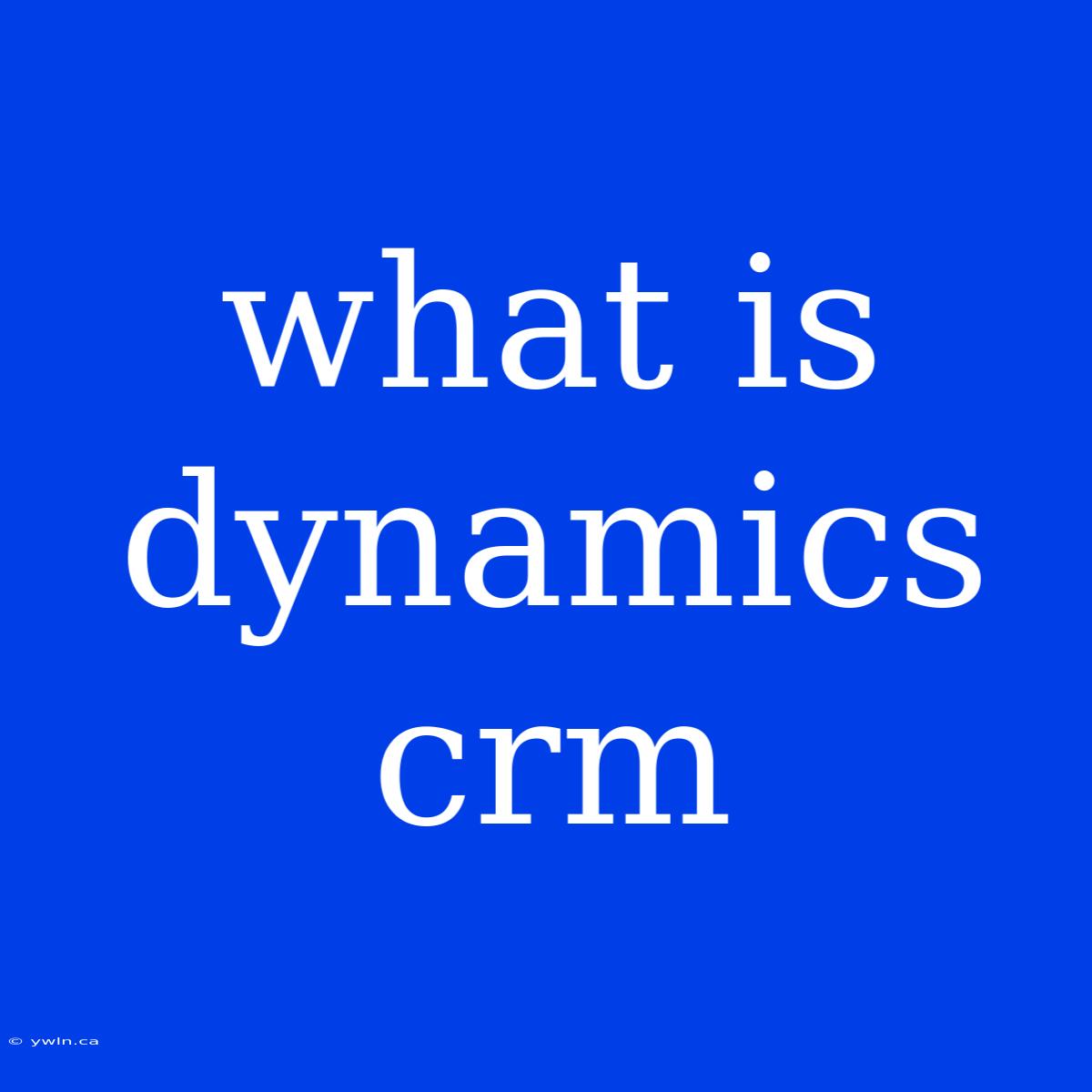 What Is Dynamics Crm