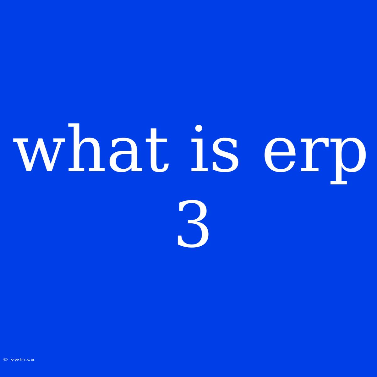 What Is Erp 3