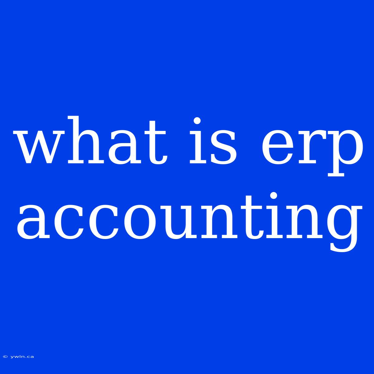 What Is Erp Accounting