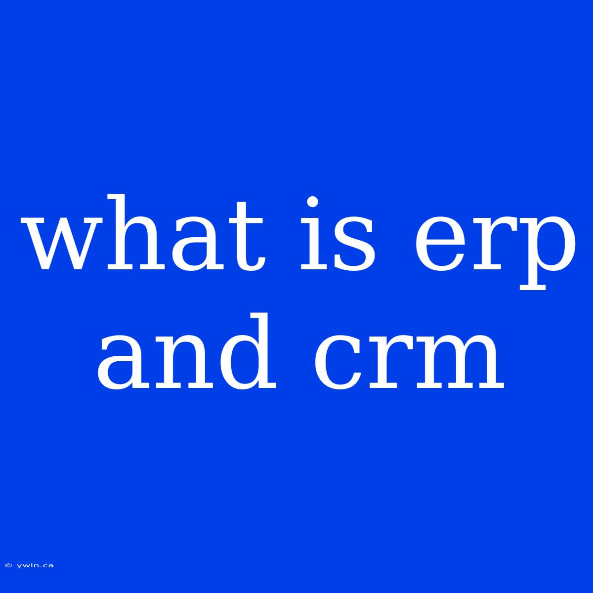 What Is Erp And Crm