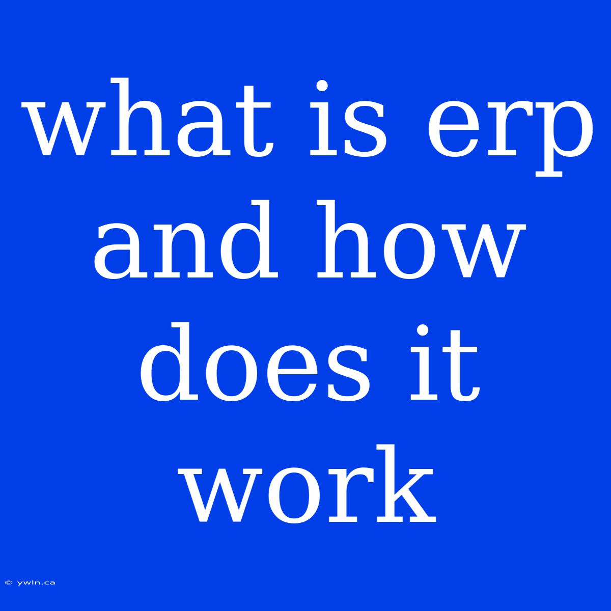 What Is Erp And How Does It Work