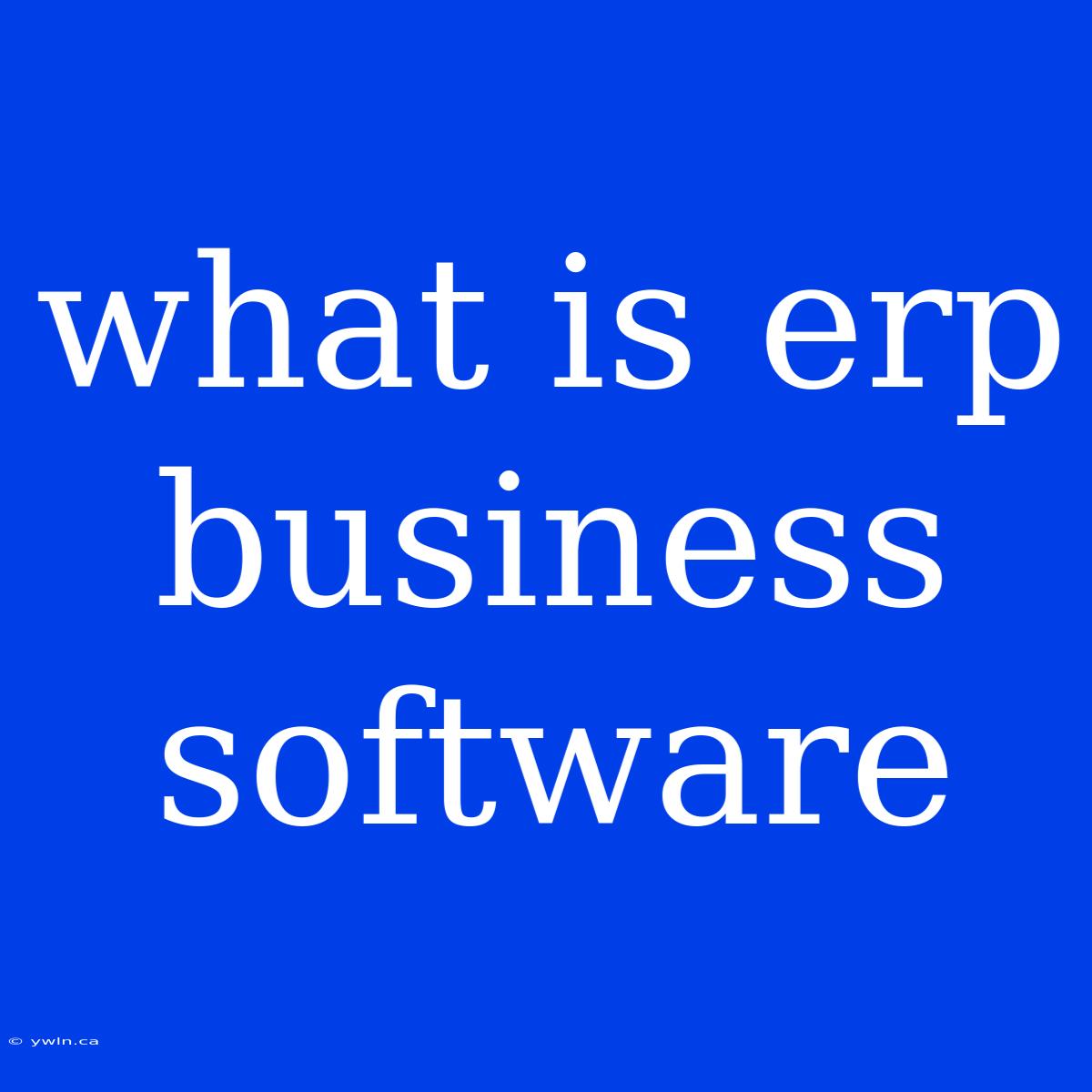 What Is Erp Business Software