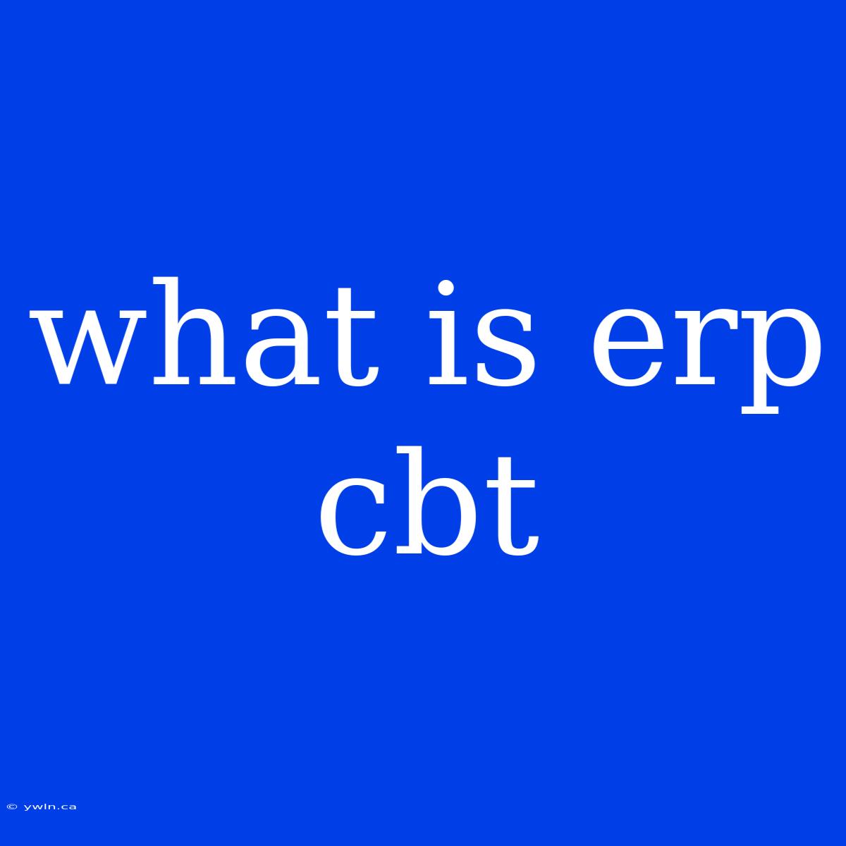 What Is Erp Cbt