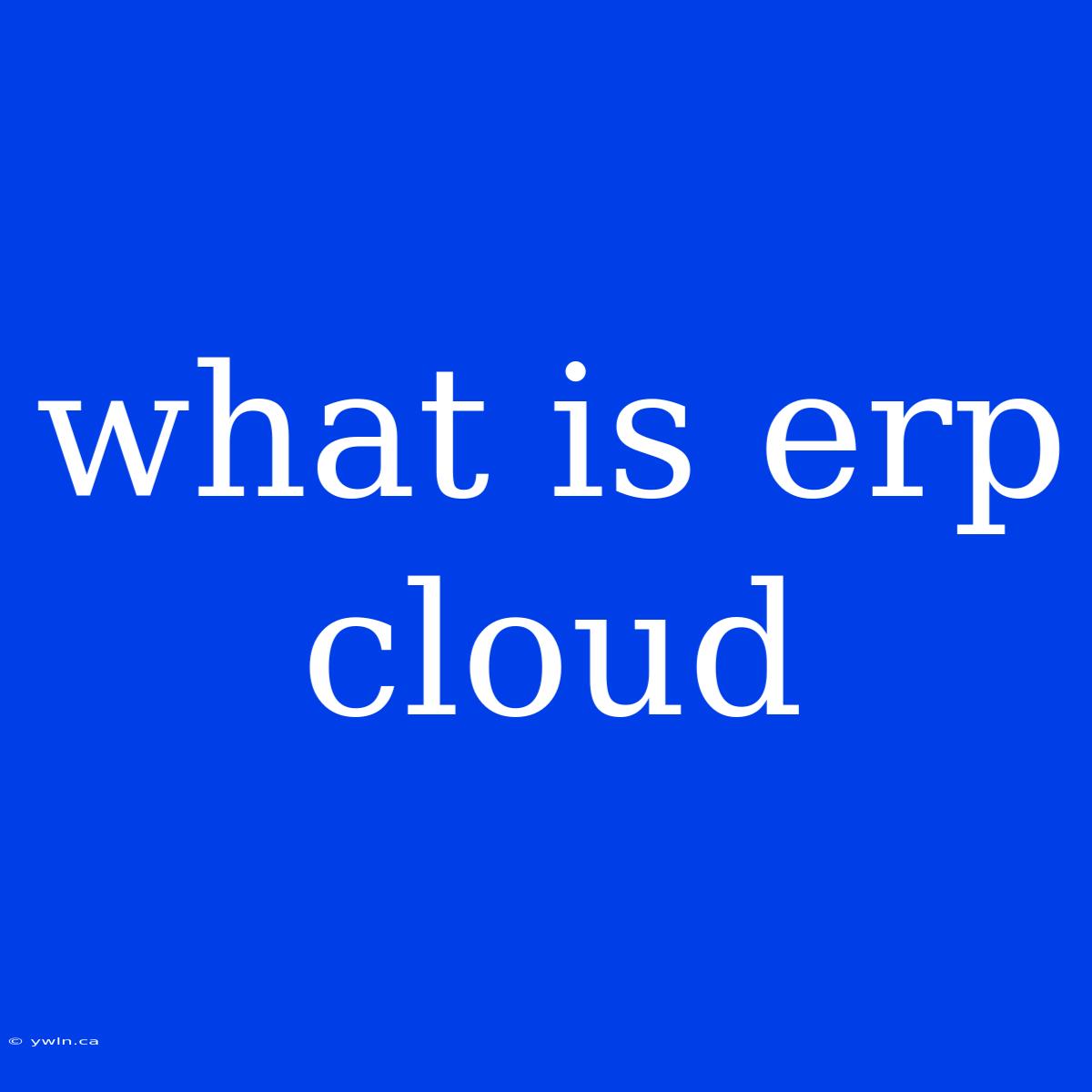 What Is Erp Cloud