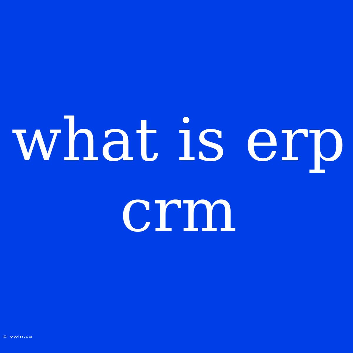 What Is Erp Crm