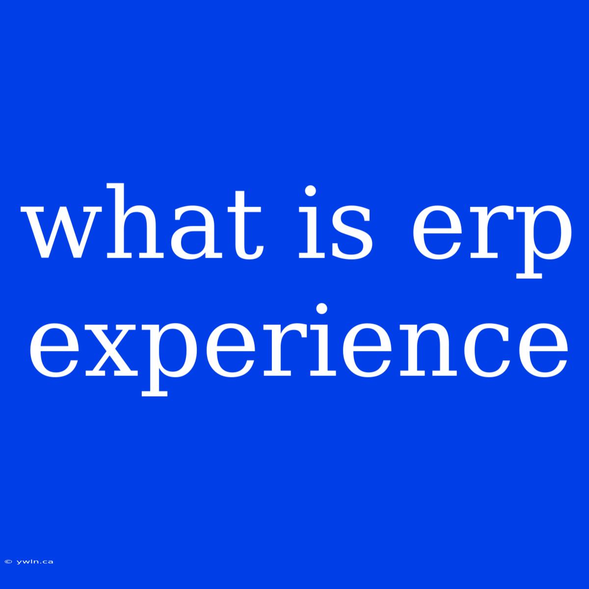 What Is Erp Experience