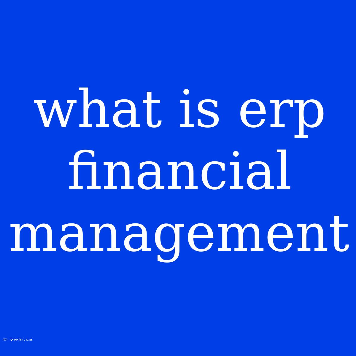 What Is Erp Financial Management