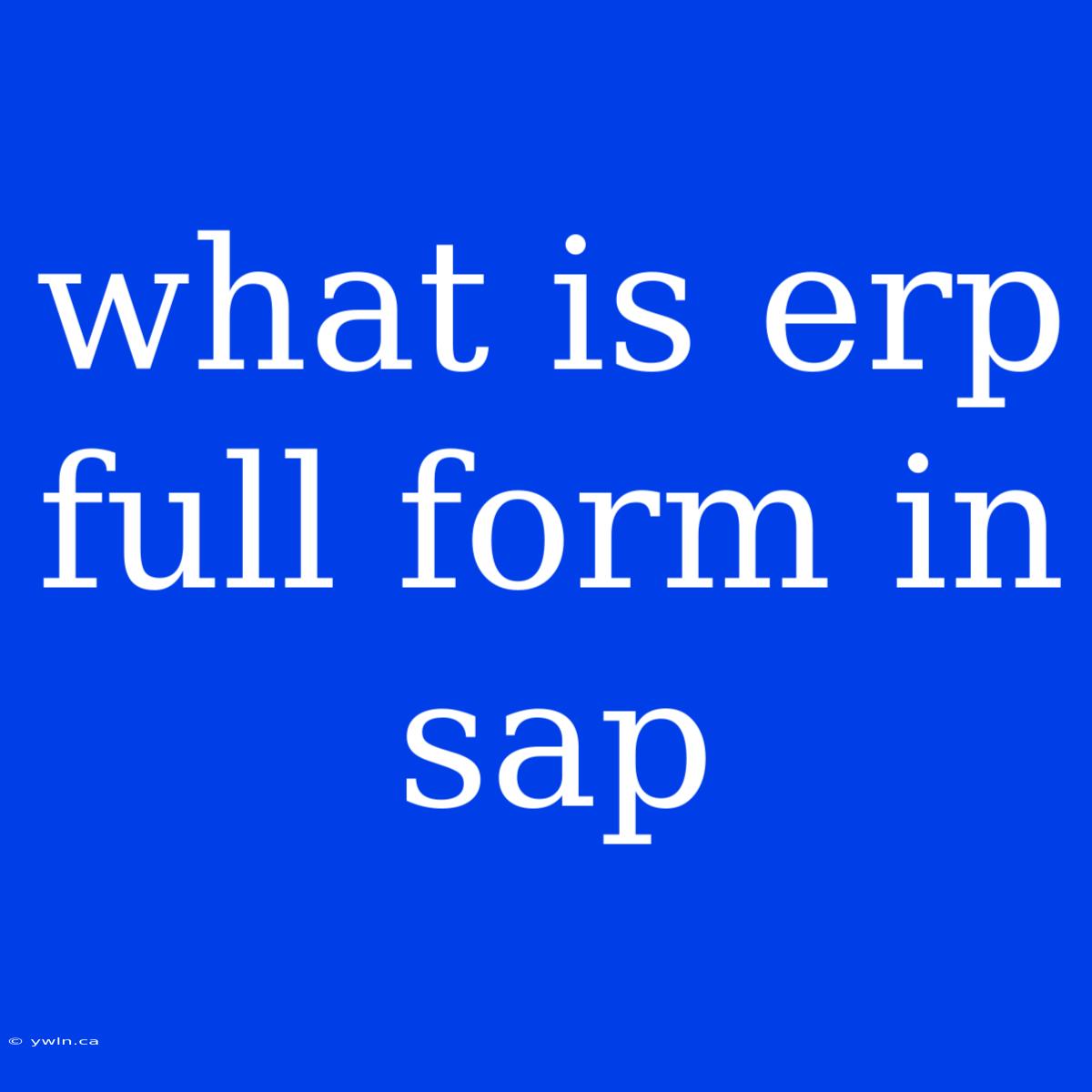 What Is Erp Full Form In Sap