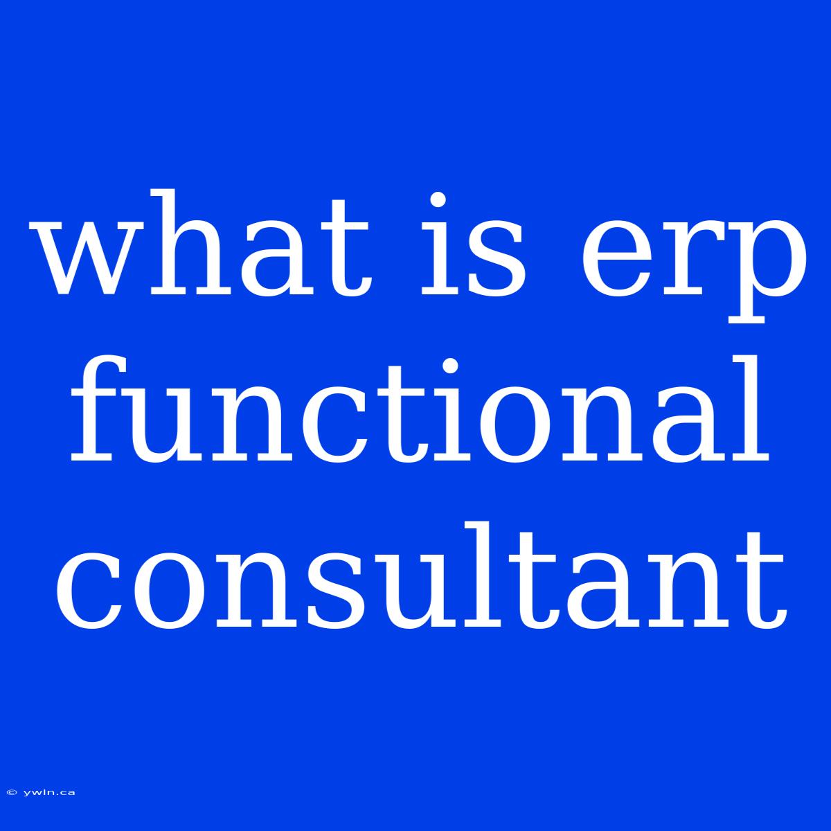 What Is Erp Functional Consultant