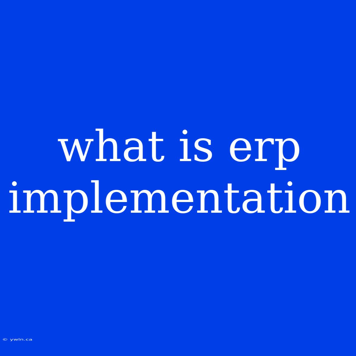 What Is Erp Implementation