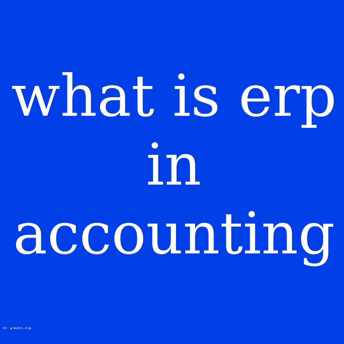 What Is Erp In Accounting