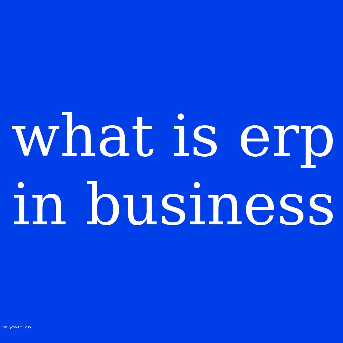 What Is Erp In Business