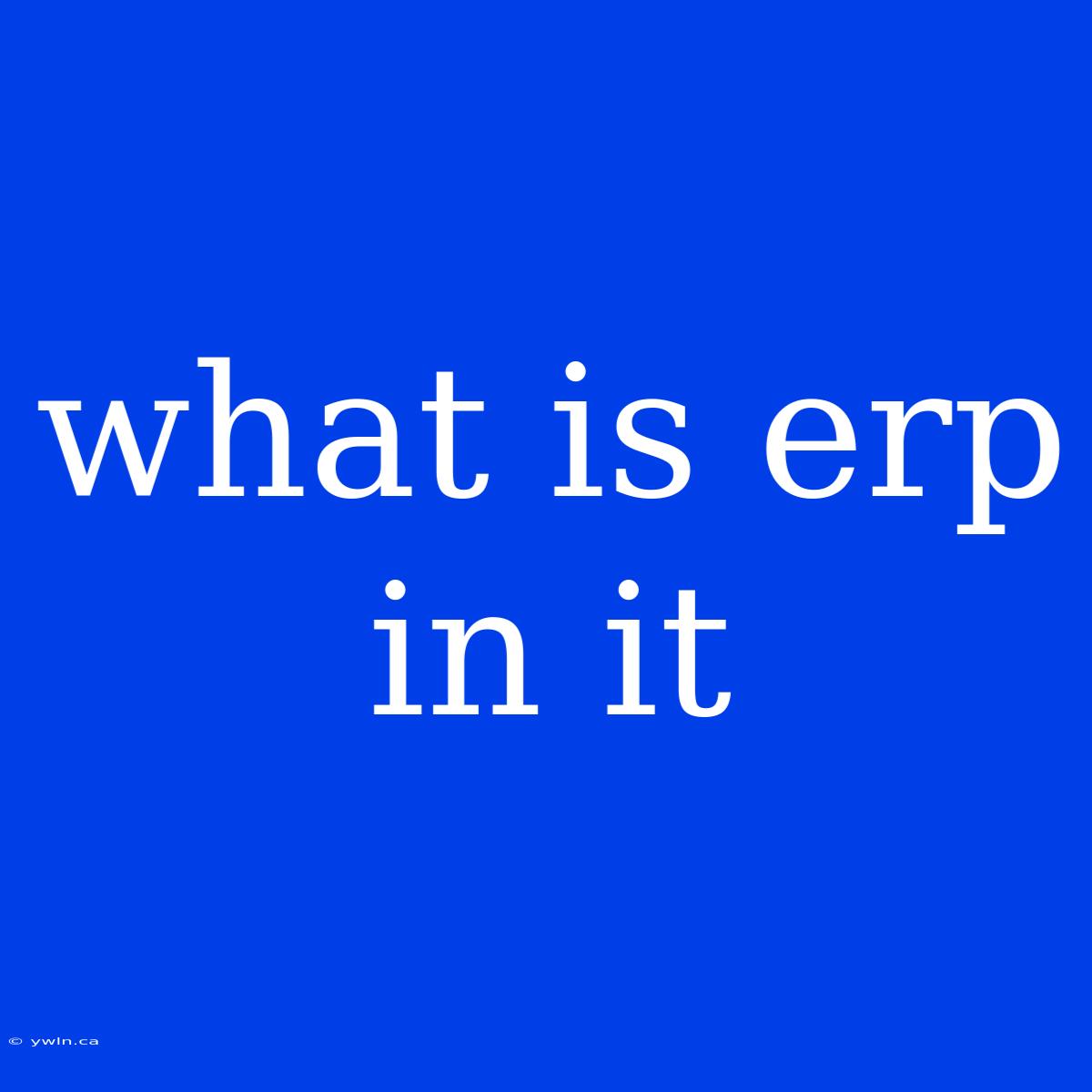 What Is Erp In It