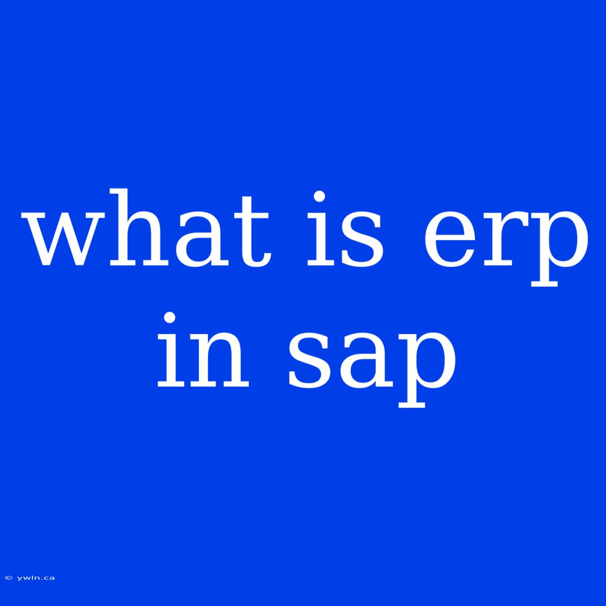 What Is Erp In Sap