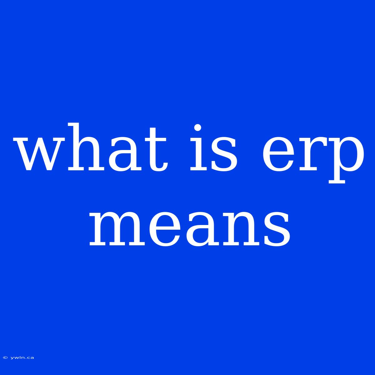 What Is Erp Means