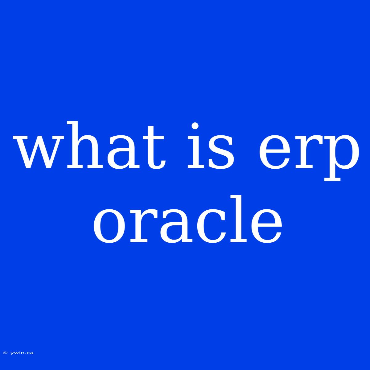 What Is Erp Oracle