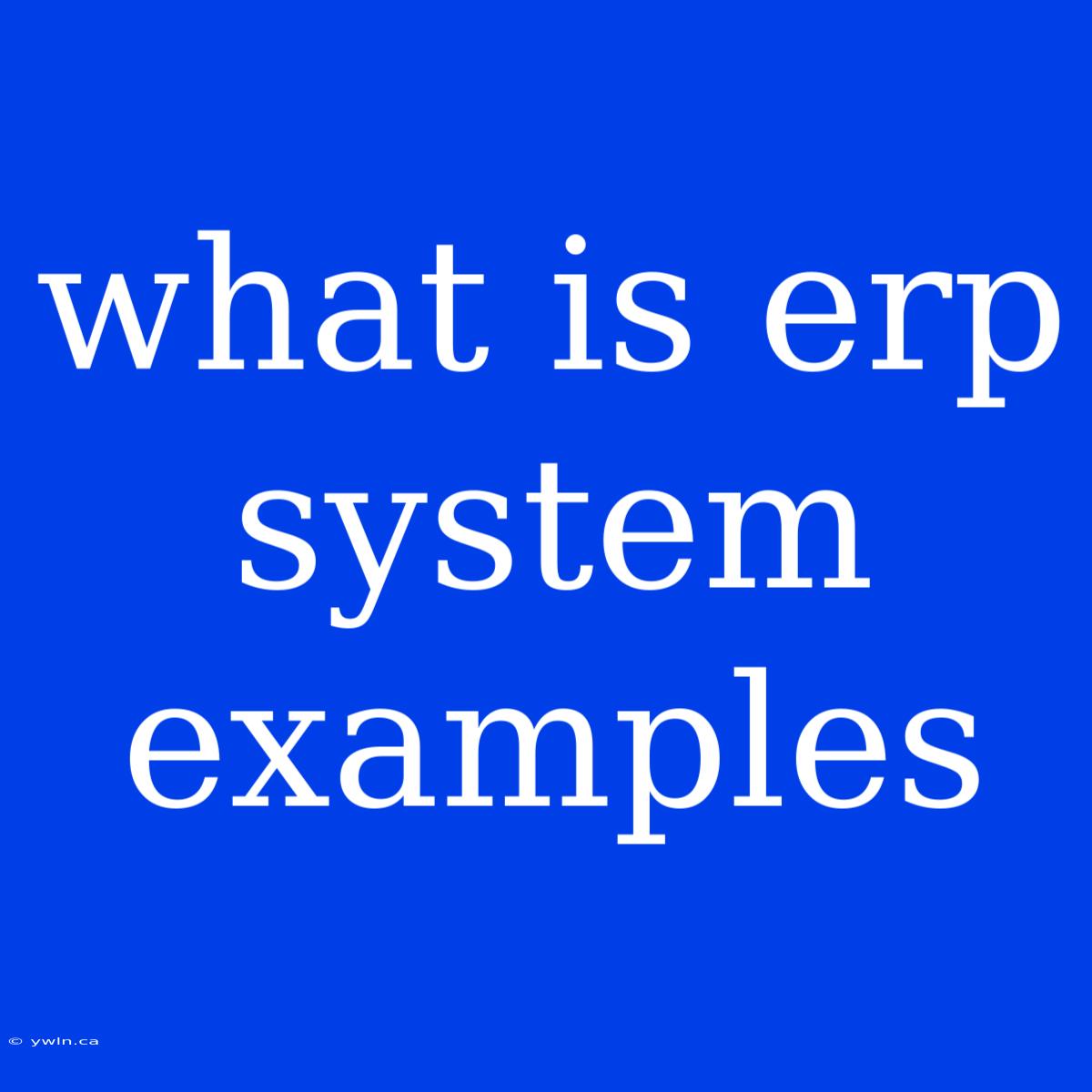 What Is Erp System Examples