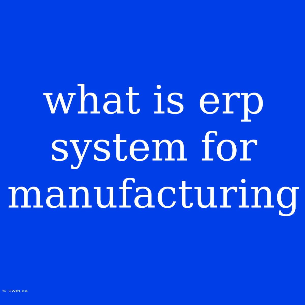 What Is Erp System For Manufacturing