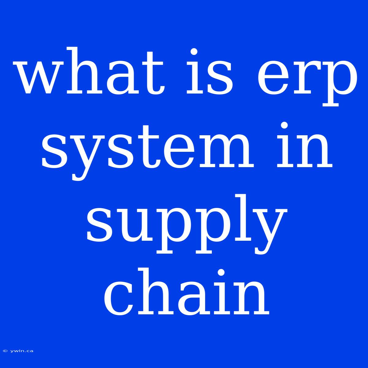 What Is Erp System In Supply Chain