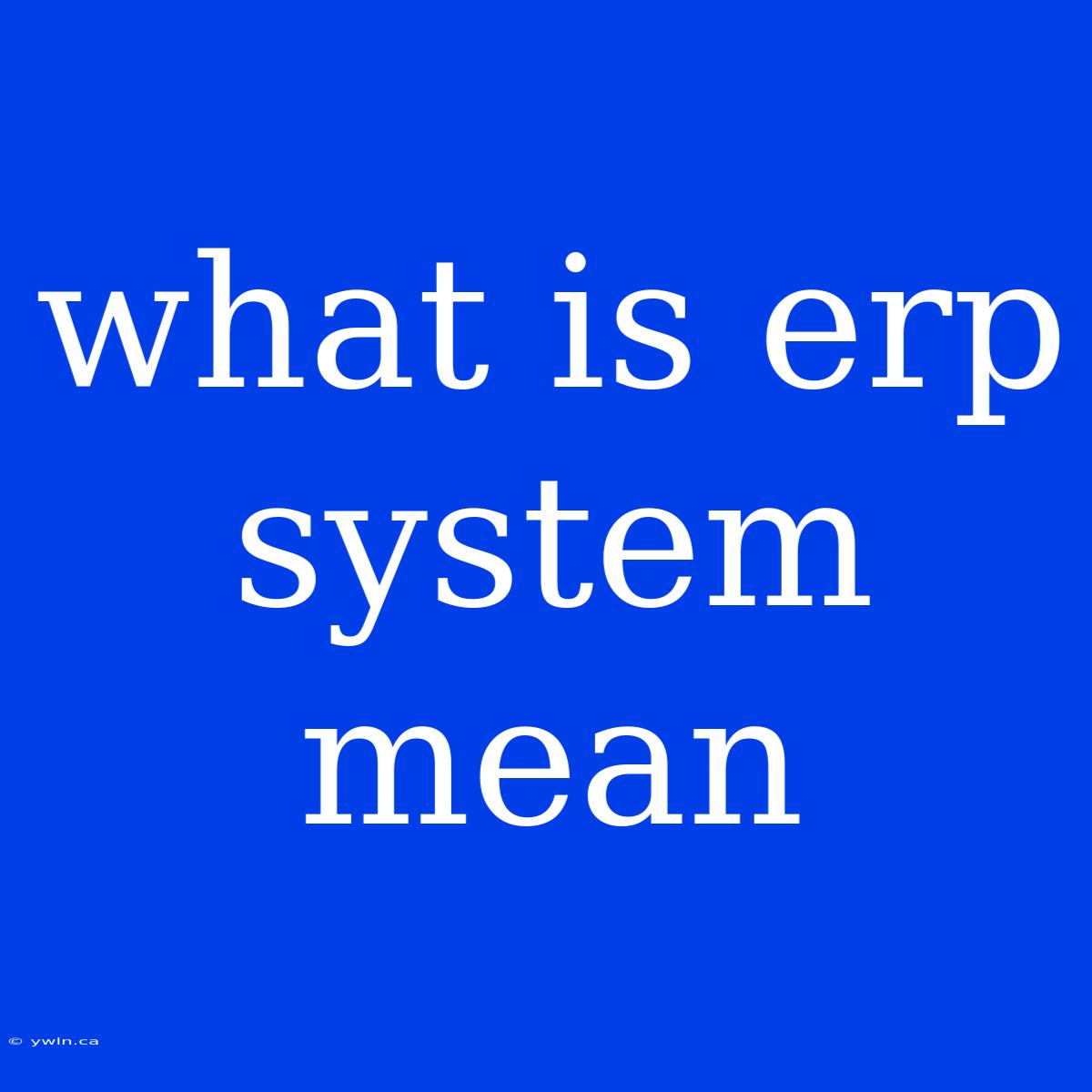 What Is Erp System Mean