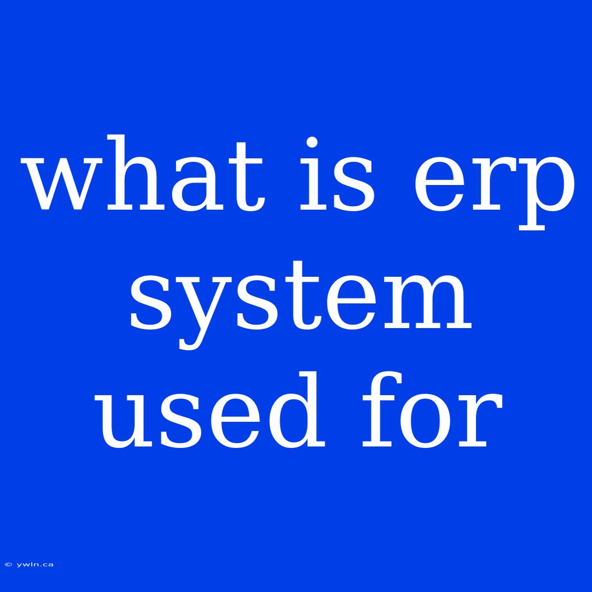 What Is Erp System Used For