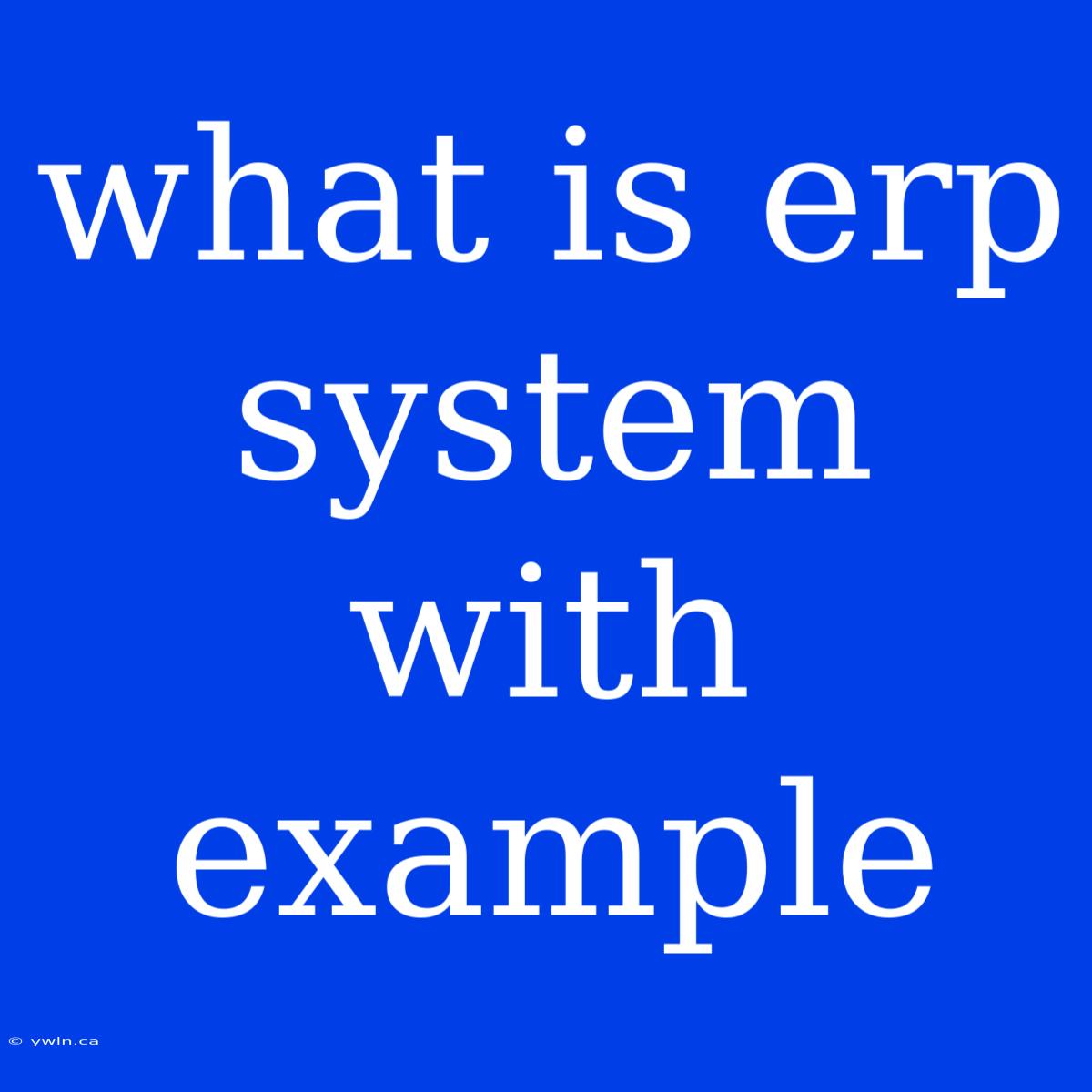 What Is Erp System With Example