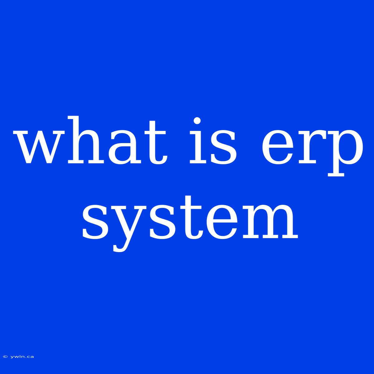 What Is Erp System