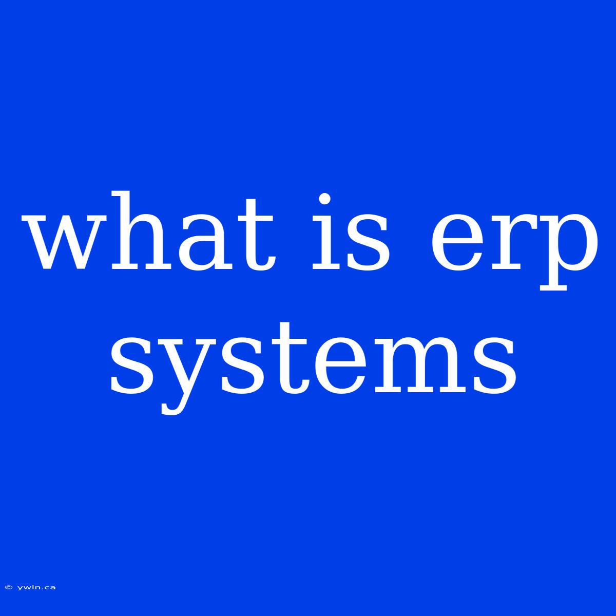 What Is Erp Systems